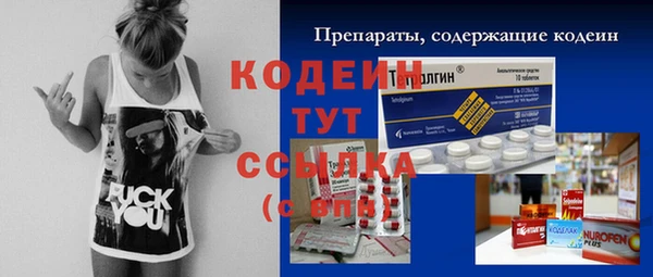 таблы Краснослободск