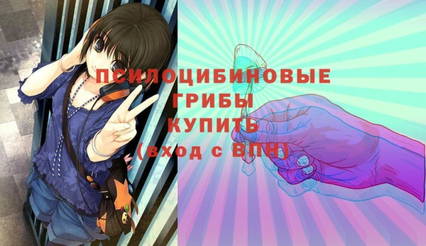 таблы Краснослободск