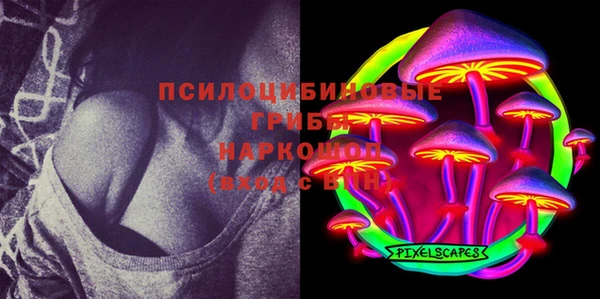 таблы Краснослободск